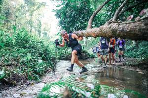 BIB: 
                            <button type="button" onclick="openModal(25451878)" class="btn btn-primary btn-sm float-right btn-popup" data-toggle="modal" data-target=".modal-high-quality">
                        <i class="fas fa-shopping-cart"></i> Add to Cart
                    </button>
                                            <button type="button" onclick="isThisMe(25451878, true)" class="btn btn-success btn-sm float-right btn-popup btn-isme hidden" data-toggle="tooltip" data-placement="bottom" title="นี่คือรูปของคุณใช่ไหม คลิกที่นี่เพื่อเอาเข้าอัลบั้ม">
                        <i class="fas fa-plus"></i> Add to album
                    </button>
                    <button type="button" onclick="isThisMe(25451878, false)" class="btn btn-warning btn-sm float-right btn-popup btn-isnotme hidden">
                        <i class="fas fa-ban"></i> Remove from album
                    </button>